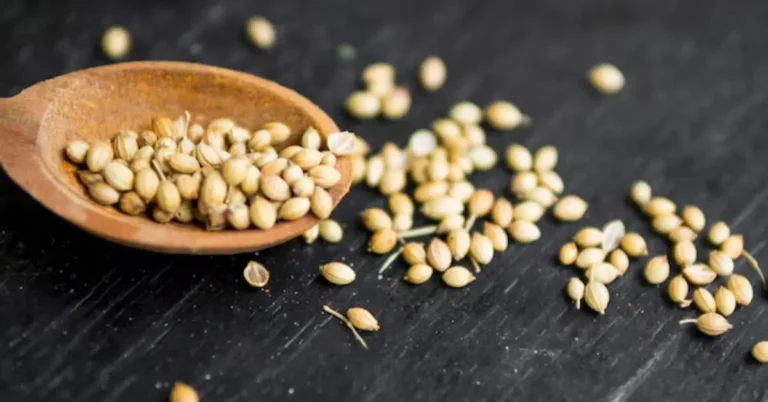 Coriander Seeds